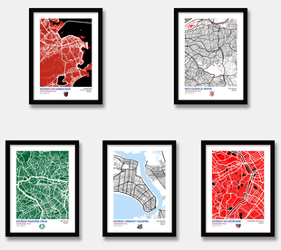 弗拉门戈桑托斯科林蒂安帕尔梅拉斯巴足球俱乐部装饰画巴甲联赛画