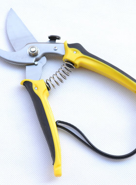 Wately威特力 200mm不锈钢果枝剪 8寸园艺剪 果剪 修枝剪