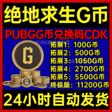 PUBGG币绝地求生G币兑换码CDK吃鸡充值G币G-COIN货币点卷游戏币