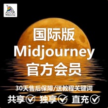 Midjourney高级会员MJ会员共享独享账号充值代充V7绘图mjdjourney