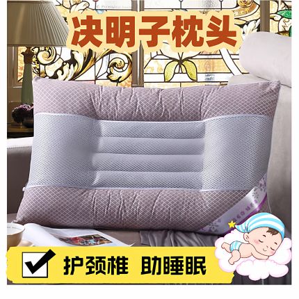 决明子理疗枕 枕头枕芯护颈椎助睡眠专用 不塌陷不变形成人男一对