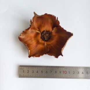 饰圣诞树野生松塔干花树枝幼儿园松果手工diy干果实材料 椰子花装