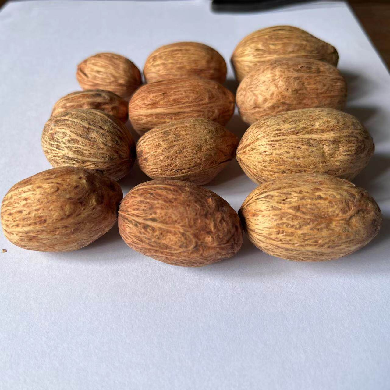 天然木芒果DIY拍摄道具香薰包材料永生花配件木芒果