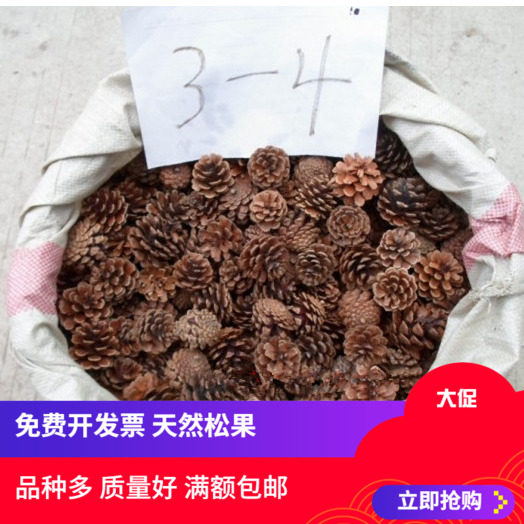 批松球本地松油松马尾松果干花拍摄道具圣诞树diy装饰满额包邮