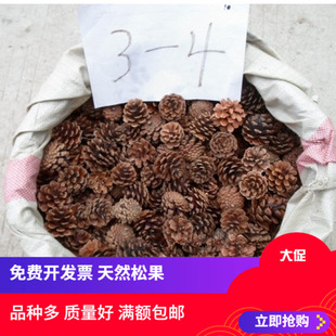 批松球本地松油松马尾松果干花拍摄道具圣诞树diy装饰满额包邮