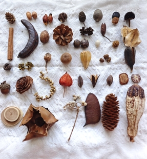 多种植物果壳手工装饰豆荚DIY材料包干果圆木片松果拍照道具