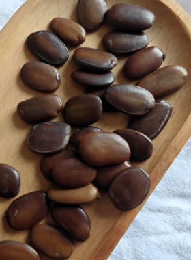 仪花籽手串饰品配件果壳豆荚娃娃DIY材料手工组件铃铛配件