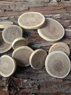 【小木片】天然树木切片 手工DIY素材辅材 幼儿园幼教自然环创用