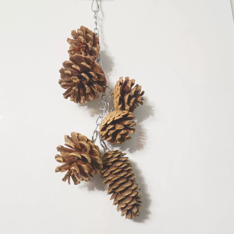 鹦鹉天然啃咬松果玩具串 鹦鹉玩具 训练益智玩具鹦鹉用品用具攀爬,宠物/宠物食品及用品,鸟秋千,淘宝优惠券,粉丝福利购,淘宝优惠卷