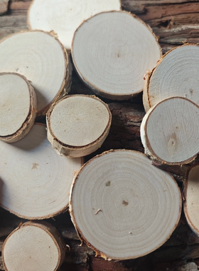 桦木片手绘圆木片圆形年轮装饰背景墙桦木片幼儿园手工diy木头片