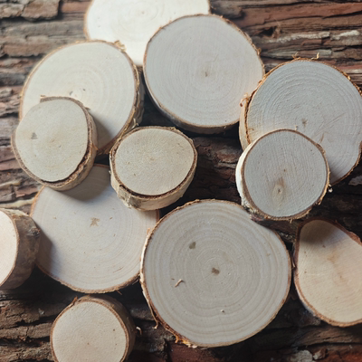 桦木片手绘圆木片圆形年轮装饰背景墙桦木片幼儿园手工diy木头片