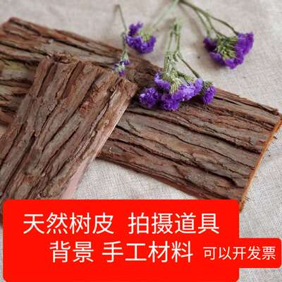 造景室内摄影墙面diy骨科树皮