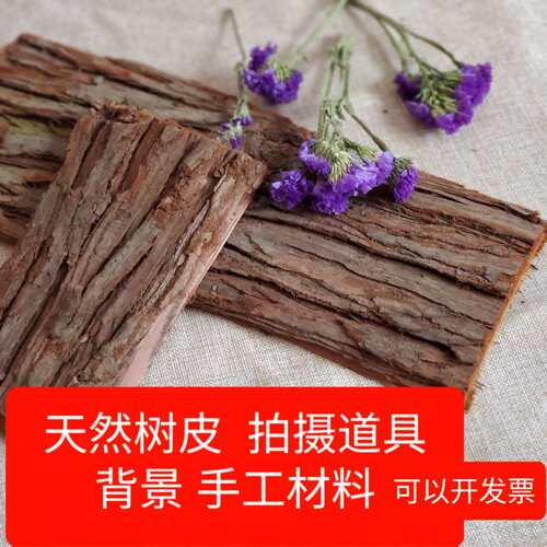 造景室内摄影墙面diy骨科树皮