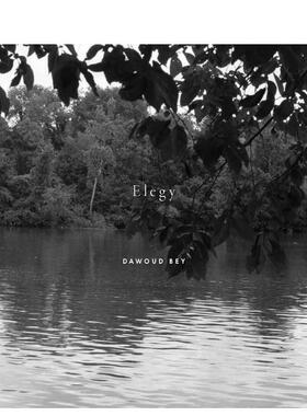 【预售】达沃德·贝：挽歌 Dawoud Bey: Elegy 原版英文摄影图书