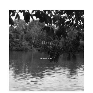 Dawoud 达沃德·贝：挽歌 Bey Elegy 英文摄影图书 原版 预售