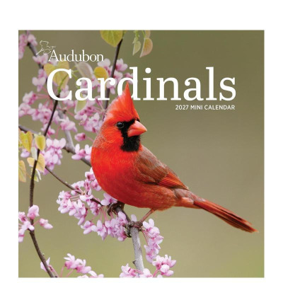 【预售】奥杜邦北美红雀图集 2027年迷你挂历 Audubon Cardinals Mini Wall Calendar 2027 原版日历