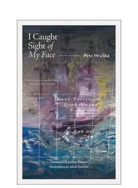 【预售】我瞥见了自己的脸 I Caught Sight of My Face 原版英文诗歌图书书籍