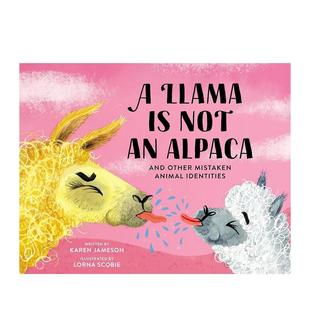 Not 英文儿童绘本 骆驼不是羊驼 原版 Alpaca Llama 预售