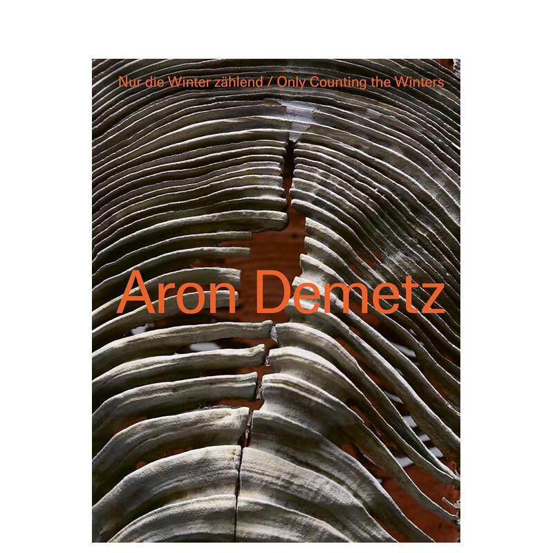 【预售】阿伦·德梅茨：冬 Aron Demetz: Only Counting the Winters 展览图录 意大利雕塑家 超现实主义 原版英文艺术