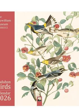 【预售】菲茨威廉博物馆：奥杜邦鸟类 2026年挂历（艺术日历） Fitzwilliam Museum: Audubon Birds Wall Calendar 原版 进口图书