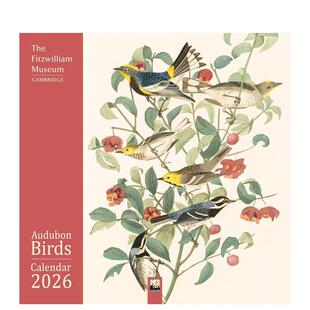 Audubon 预售 Fitzwilliam Birds 原版 2026年挂历 Calendar 菲茨威廉博物馆：奥杜邦鸟类 进口图书 艺术日历 Wall Museum
