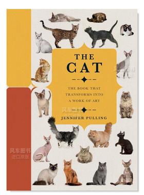 【现货】纸上风采:猫:礼物书 【Paperscapes】The Cat 英文原版进口图书籍