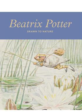 【现货】毕翠克丝·波特:大自然引力 Beatrix Potter: Drawn to Nature 原版英文艺术画册画集图书