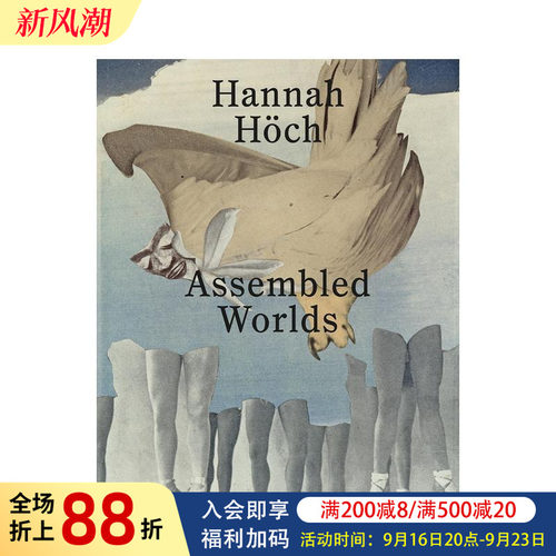 汉娜&middot;霍赫：组装的世界 达达主