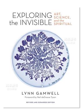 【现货】探索无形：艺术、科学和精神（修订扩展版） Exploring the Invisible: Art Science and the Spiritual Revised and Exp