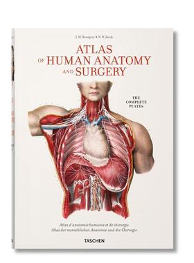 【预售】布尔热里：人体解剖和手术图谱 Jean Marc Bourgery 原版英文艺术插画原画设定集 进口图书