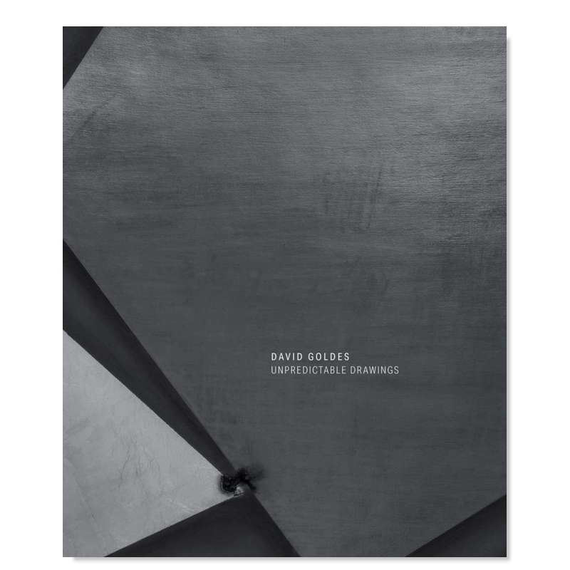 【预售】不可预测的图画 David Goldes: Unpredictable Drawings 英文艺术家 工作室 原版图书外版进口书籍 David Goldes, Pavel