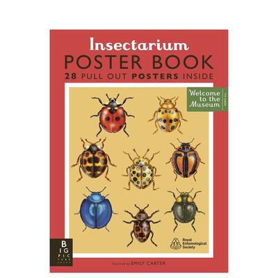 【预售】【欢迎来到博物馆】昆虫馆海报书 【Welcome To The Museum】Insectarium Poster Book 原版英文儿童绘本图书书籍