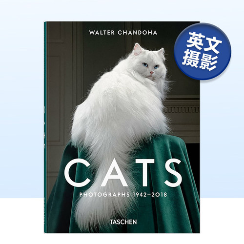 沃尔特·尚多哈：猫咪摄影集19