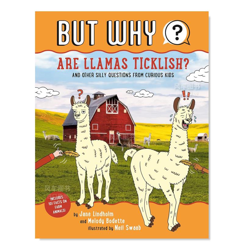 美洲驼怕痒吗1AreLlamasTic