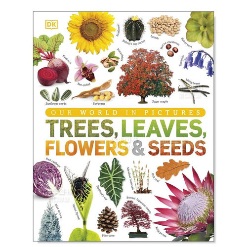树、叶子花和种：植物王国的视觉