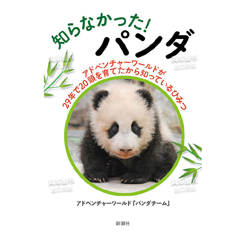 【预 售】知らなかった! パンダ 日文原版