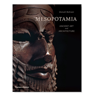 【预售】美索不达米亚：古代艺术和建筑 Mesopotamia: Ancient Art and Architecture英文摄影集人文景观原版图书外版进口书籍Zai