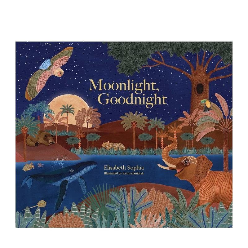 月光 晚安 MOONLIGHT