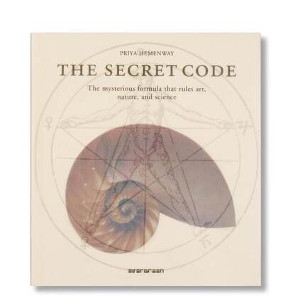 【现货】秘密代码 The Secret Code 原版英文艺术画册画集图书