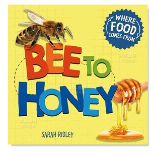 FOOD 进口书籍 图书外版 HONEY 预售 WHERE 食物从何而来 FROM COMES 原版 BEE 从蜜蜂到蜂蜜英文儿童绘本