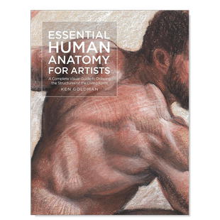 【预售】给艺术家的基础人体解剖学 【For Artists】Essential Human Anatomy for Artists 英文艺术技法与入门赏析原版图书外版