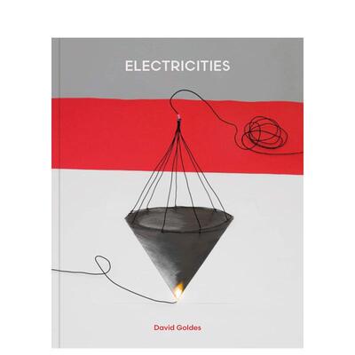 【现货】David Goldes：电力城市 David Goldes: Electricities 原版英文摄影作品集图书