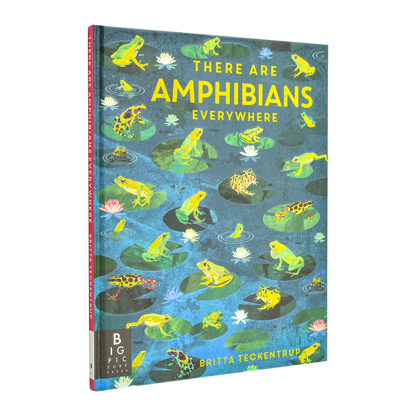 【现货】随处可见的两栖动物 【Britta Teckentrup Everywhere】There Are Amphibians Everywhere 原版英文儿童绘本图书