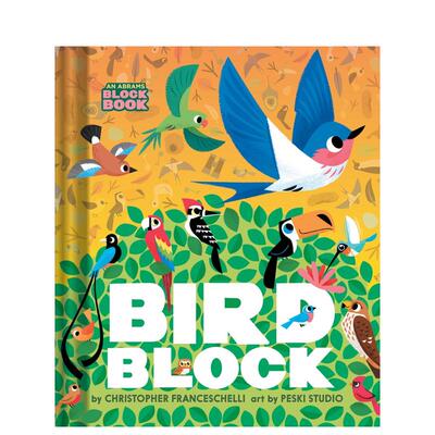 【预售】鸟鸟积木书 【Block】Birdblock 原版英文儿童绘本图书书籍
