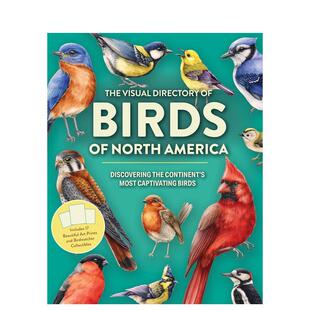【预售】北美鸟类视觉图鉴：探索大陆迷人飞羽精灵 The Visual Directory of Birds 原版英文生活综合图书