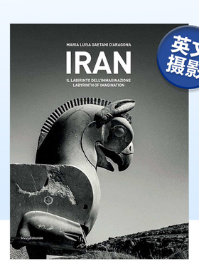 【现货】伊朗:想象力的迷宫 Iran：Labyrinth of Imagination英文摄影原版图书进口书籍Maria Luisa Gaetani