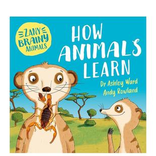 Zany Brainy 原版 现货 英文儿童绘本图书书籍 Learn 奇智动物：动物如何学习 How Animals