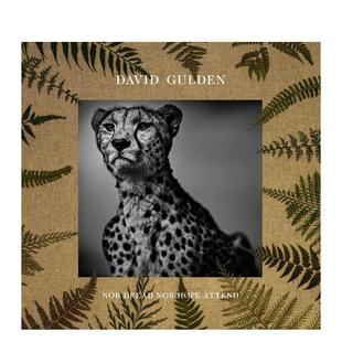 【现货】David Gulden:无惧无望(非洲平原摄影记录) Photographs from the Plains of Africa 原版英文摄影作品集纪实图书