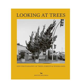 【现货】观树 Looking at Trees 原版英文摄影自然景观图书