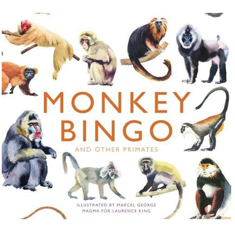 【现货】Monkey Bingo，猴子宾戈游戏 英文儿童游戏图书原版进口书籍